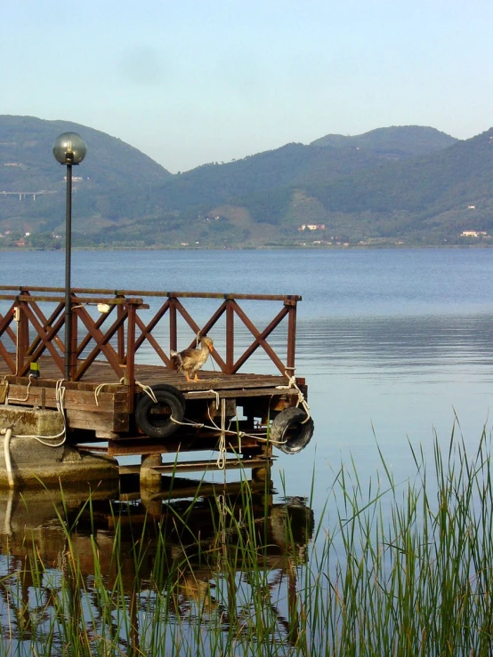 a pier in the water with lights on