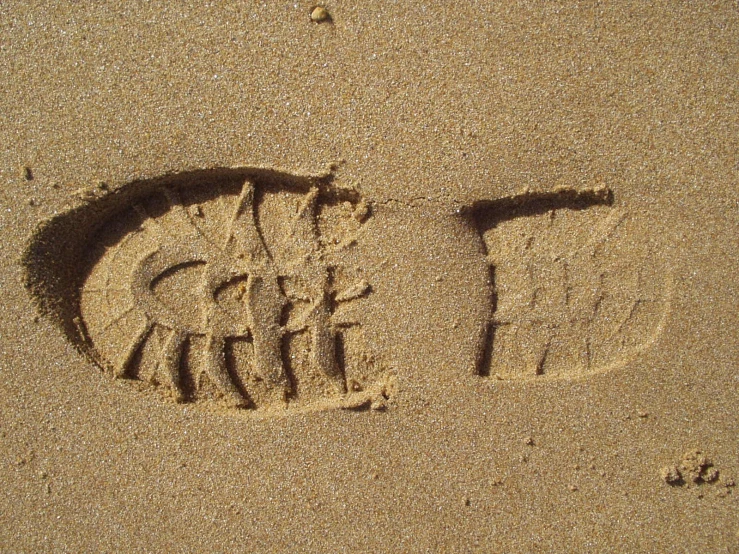 two images of animals are carved into the sand