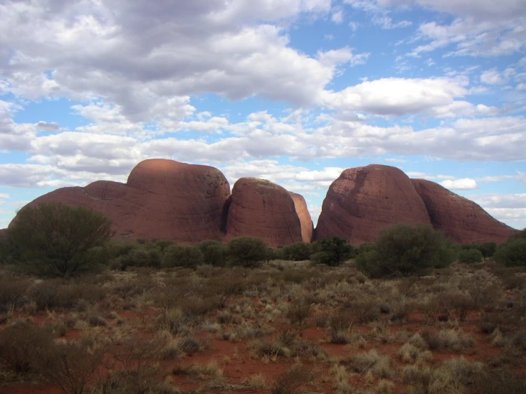 four large rocks with small shrubs in front of them