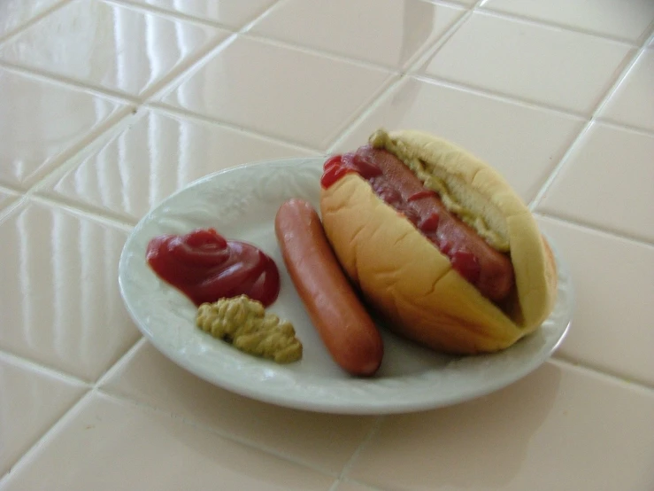 a plate with a  dog and two condiments