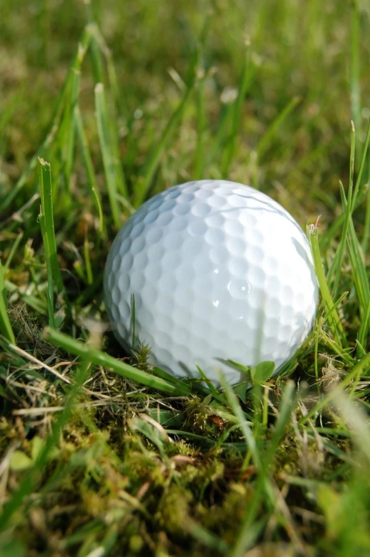 a golf ball laying on the grass