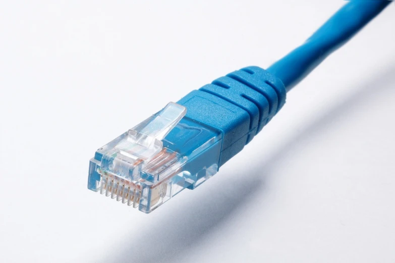 a blue patch cord has been placed neatly on a white surface