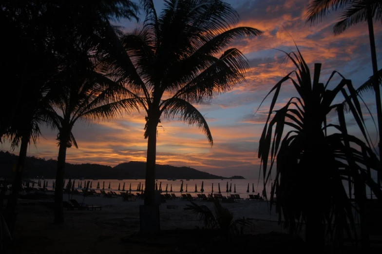 a tropical sunset is shown in the foreground