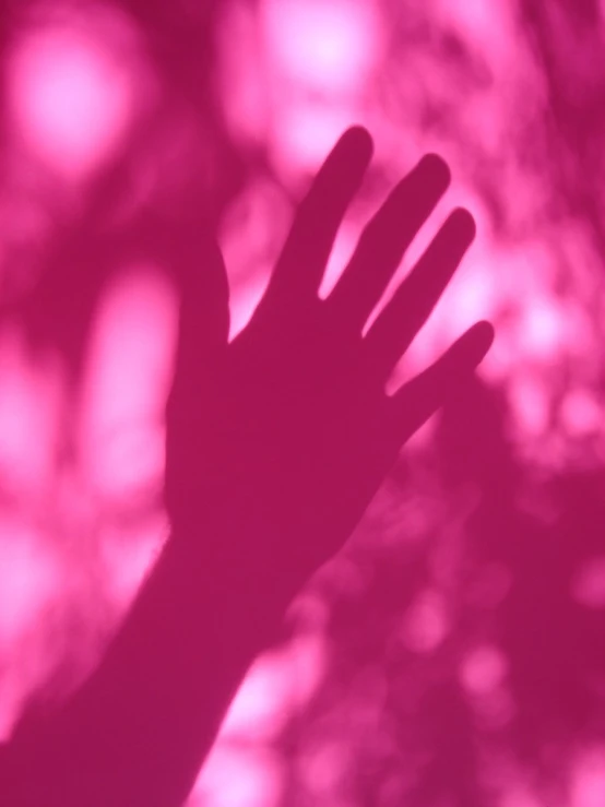 a hand on top of a pink wall next to leaves