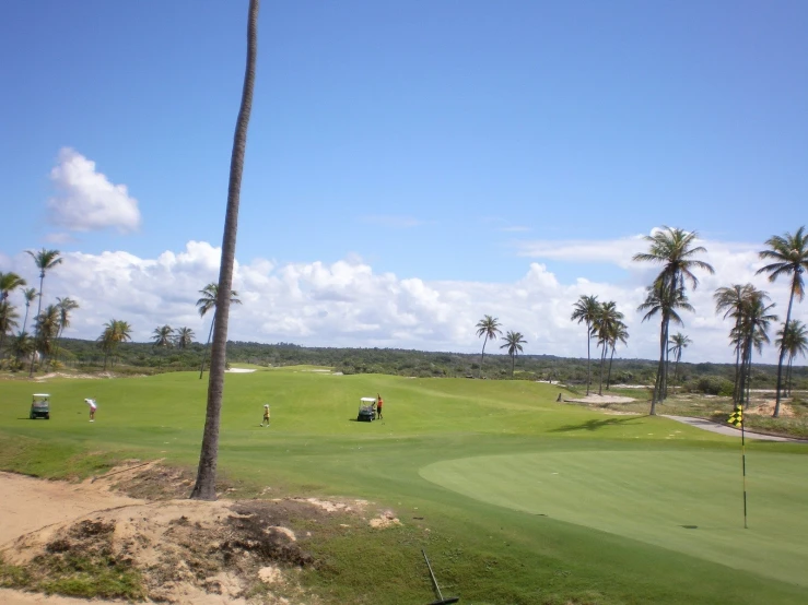 golf club with palm trees on a clear day