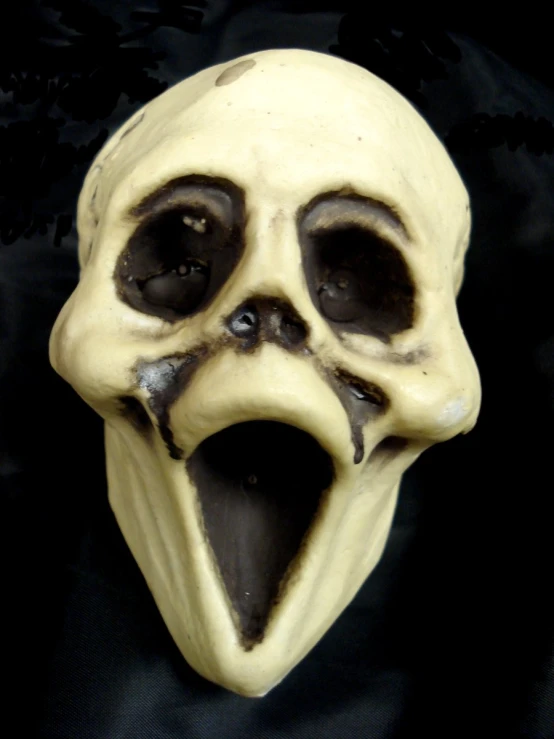 a fake human skull face is displayed on a black surface