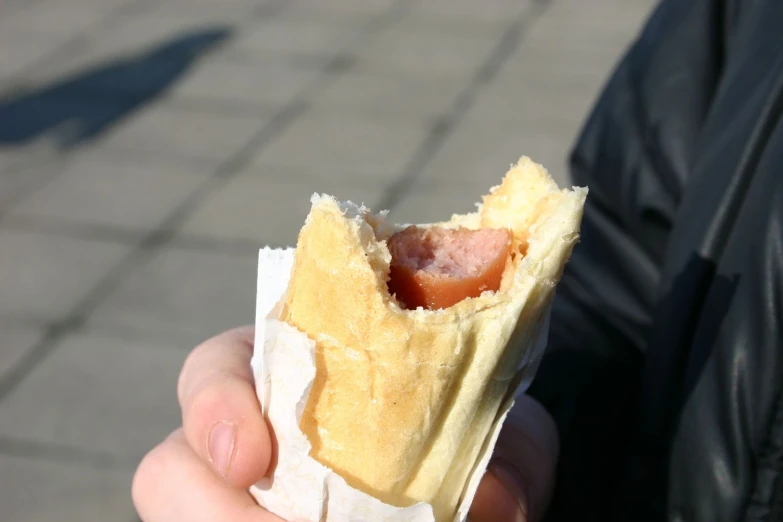 a  dog inside of a breaded wrapper in a person's hand