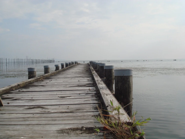the water is calm and the pier extends into the distance