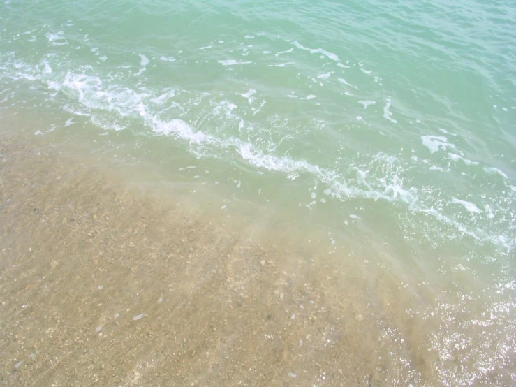 water and sand at the beach, with green water