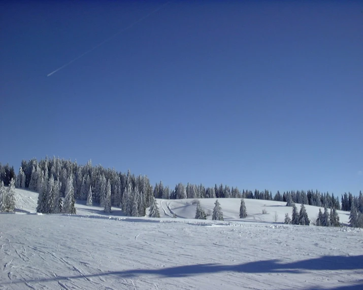 a blue sky and clear ski slope with trees