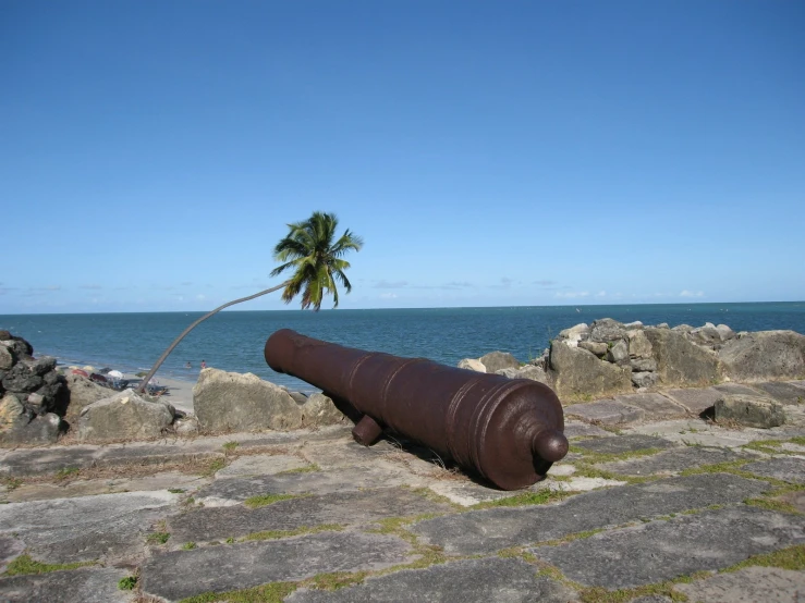 a large cannon lying on top of a rock near the ocean