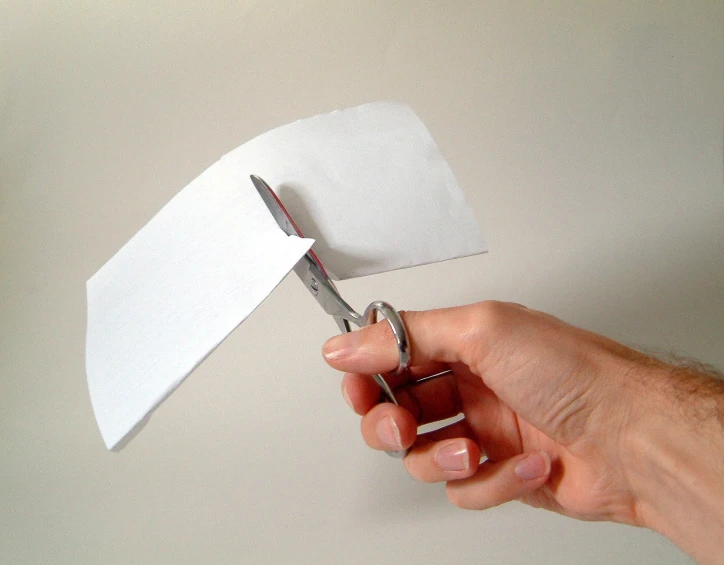 a person holding scissors  paper into several pieces