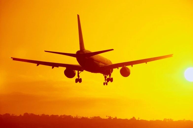 an airplane flies above the trees as the sun sets