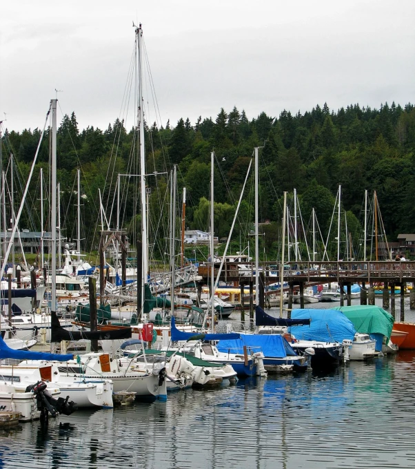 a marina with boats tied up to posts and trees in the background