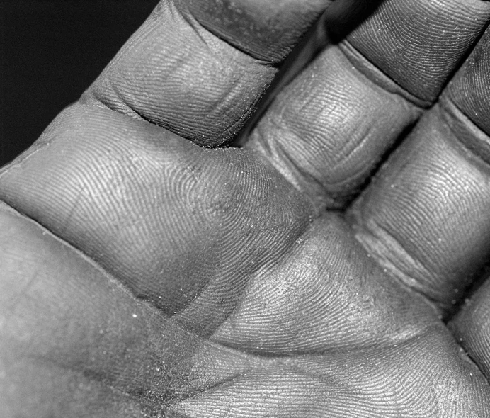 close up of the palm of a persons hand