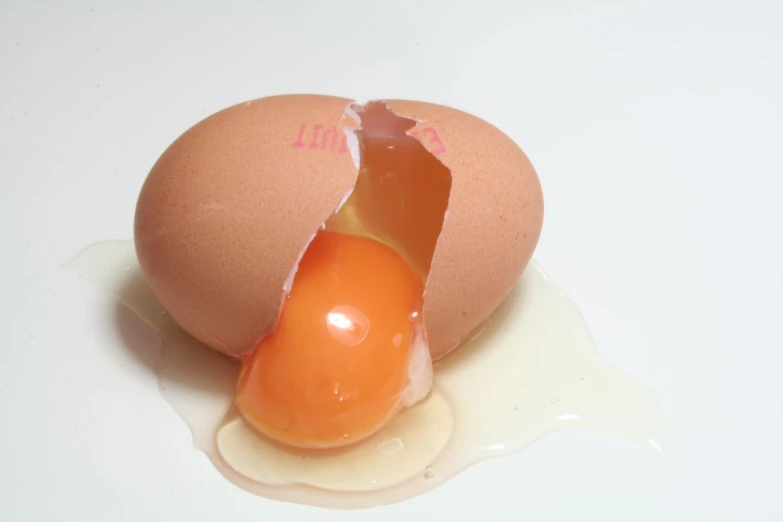 an egg with one egg in it and its shell showing