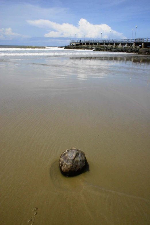 a rock that is laying on the sand