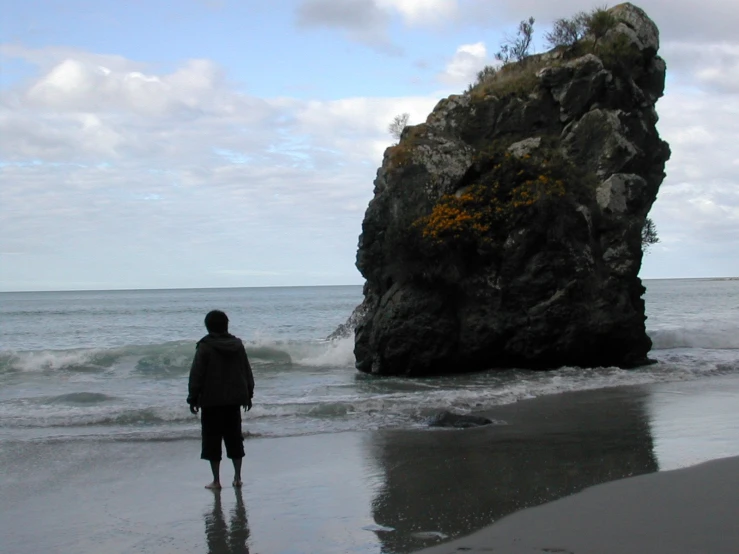 a person stands on a beach looking at the water