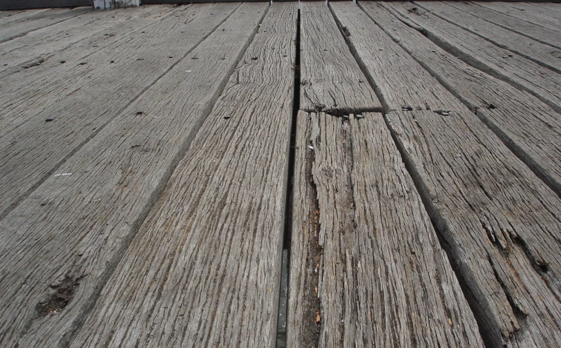 a close up of a wooden pier with a bird in the background