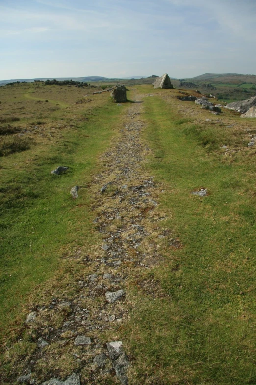 a grassy path in the middle of the prairie