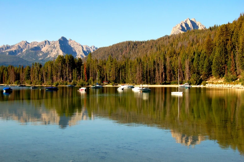 several canoes are docked on the calm lake