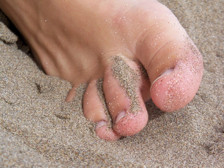 small sandy part of foot, covered with sand