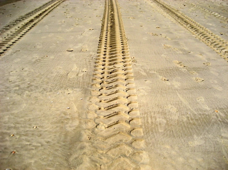 a very dirty looking trail in the sand