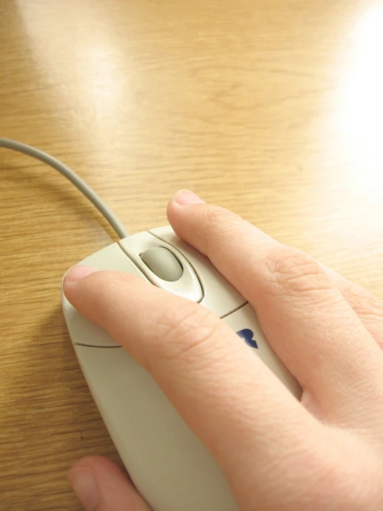 a person is holding on to a mouse