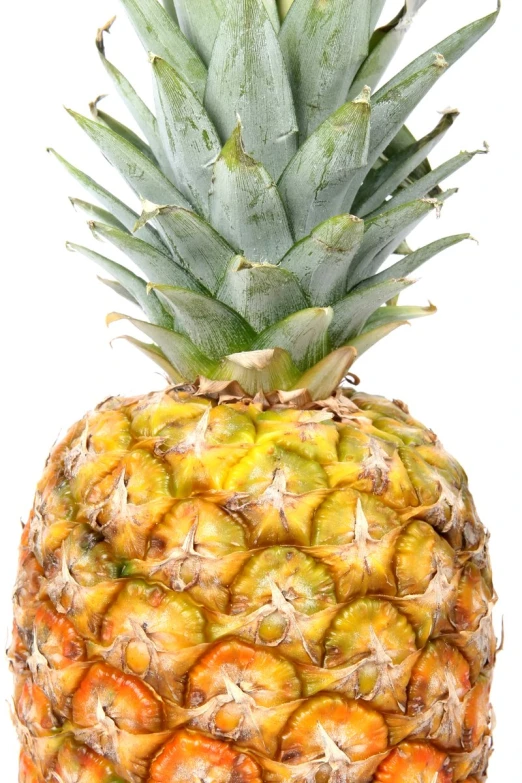 a pineapple on a white background is shown