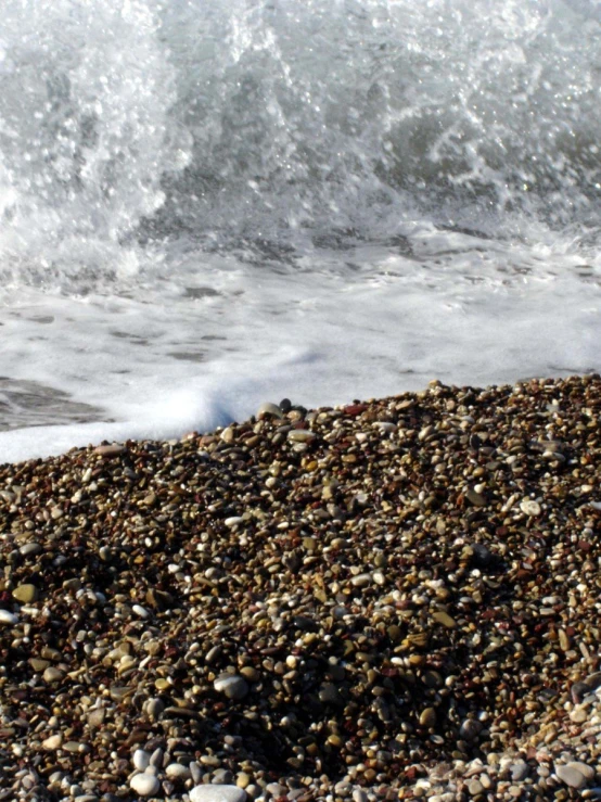 shells, sand and waves on the beach at a wave front