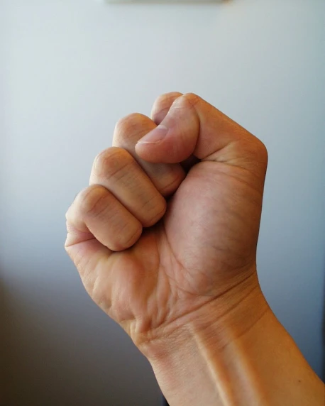 an arm in a fist, showing the arm muscles