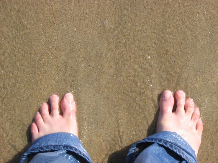 bare feet on a sandy beach, on a sunny day