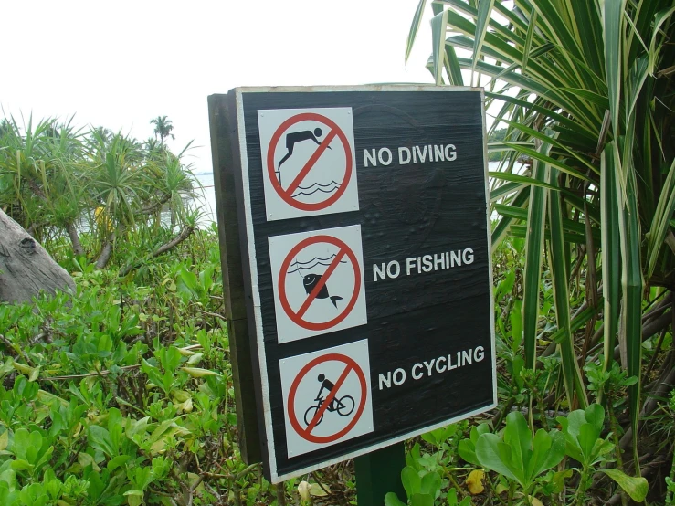 no diving sign with icons on it and plants in front