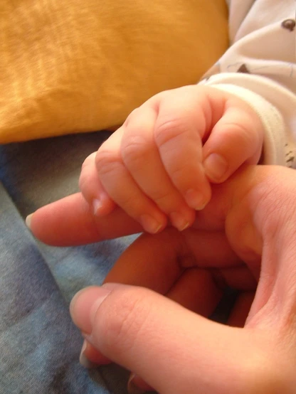 a baby holding his hand over the hand of its parent