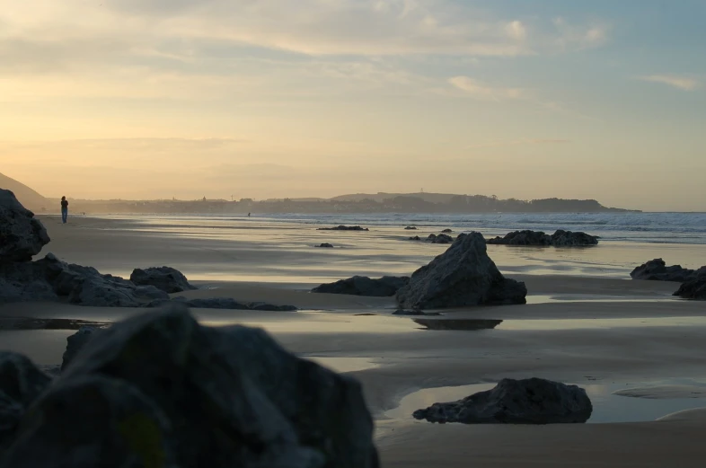 the man walks along the shore of a sandy beach