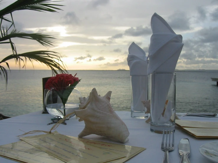 shells, papers and napkins are set on the table in front of the water