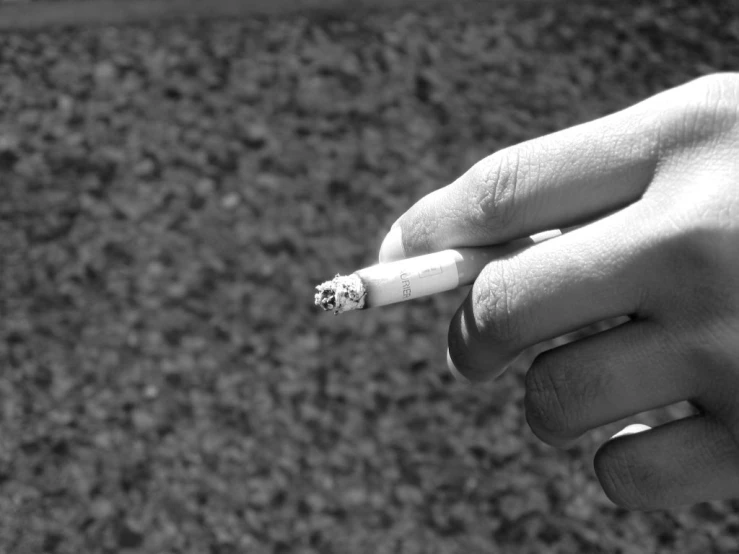 a person holding up a white cigarette in their hand