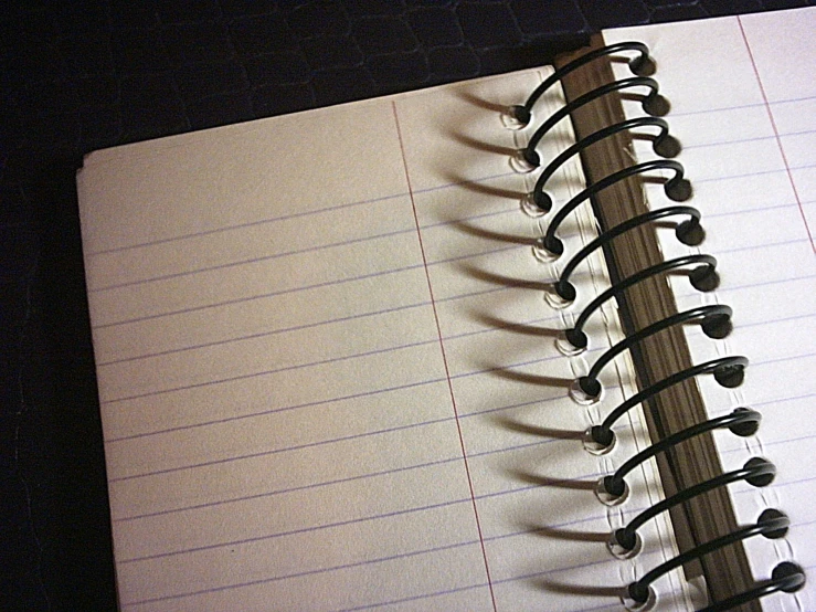 an empty notebook that has been opened and is lined in lines