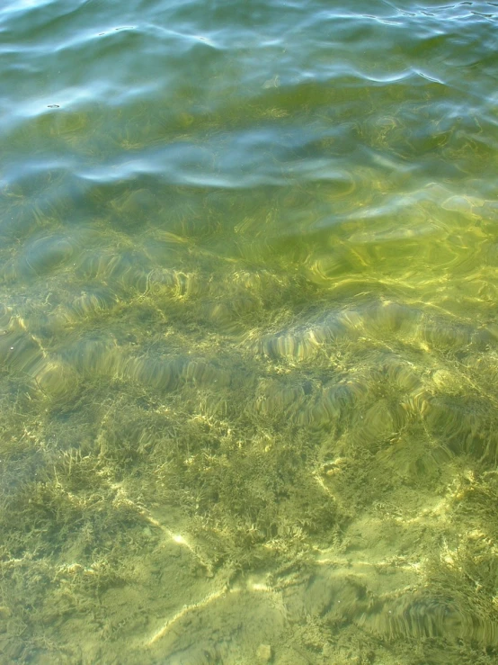 the water is crystal green and calm