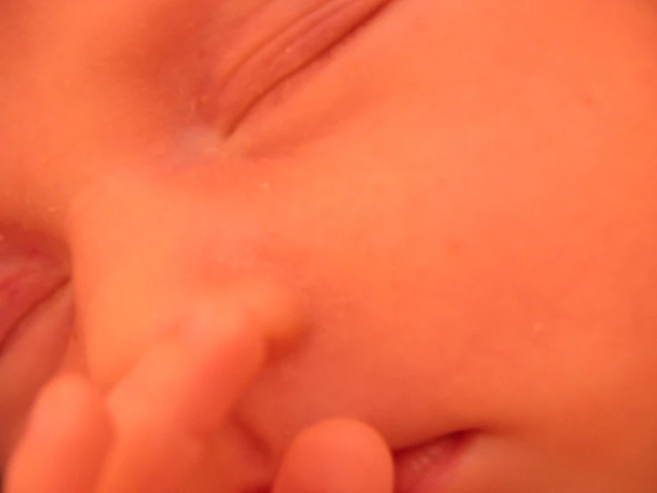 a close - up image of the back end of a baby's head