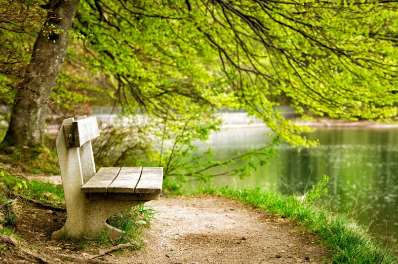 a wood bench sitting next to a river