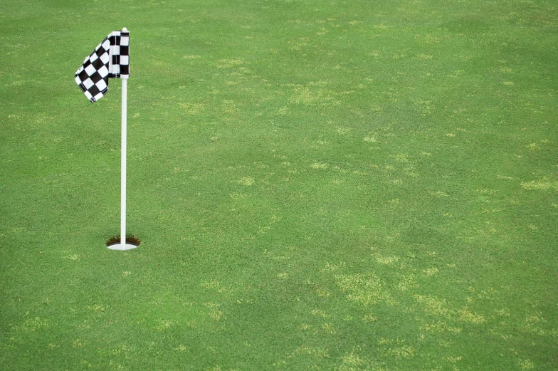 a checkerboard flag standing upright in a golf field