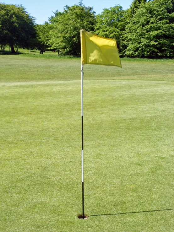 the yellow flag stands tall in a lush green field