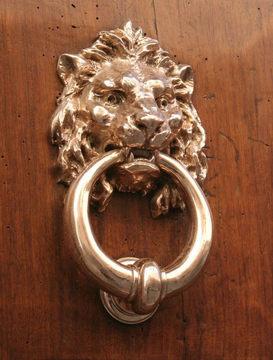 an animal - like knock ring on the door handle