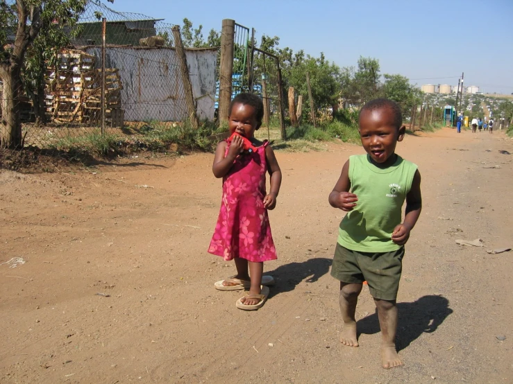 a couple of s that are walking across a dirt ground