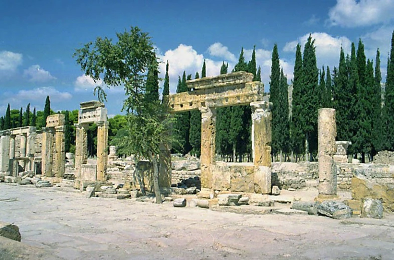 the ruins at delphinica, italy are surrounded by tall trees