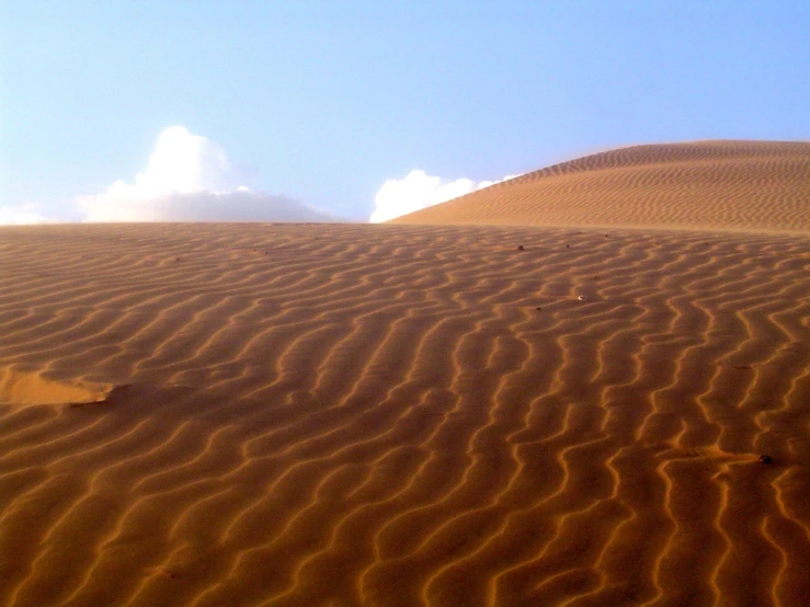 the sand is brown and wavy