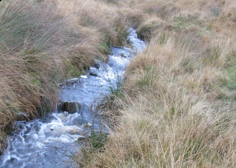 a small stream running between grass fields