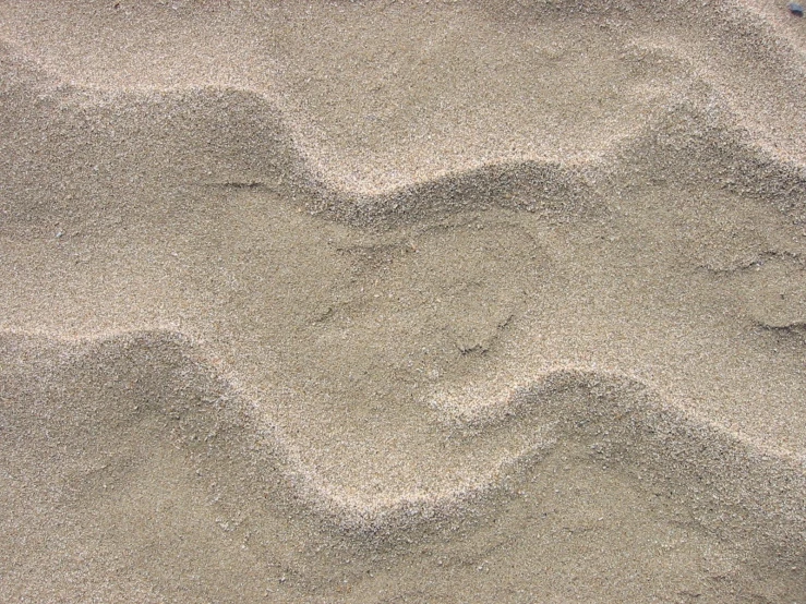 sand with small shapes made out of it