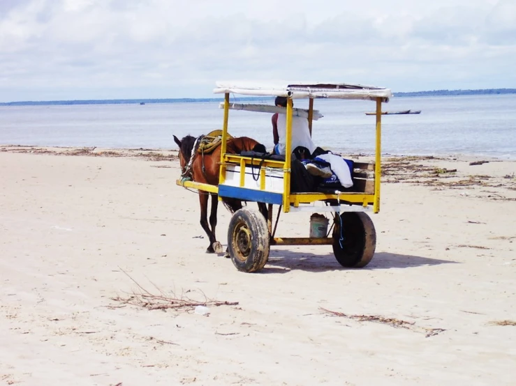 a man standing next to a horse in a yellow cart